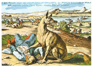 Illustration for article titled A Field Guide to Cryptids From Europe and Africa
